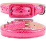 Allure 4000 Pink Collar