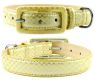 Allure 4000 Yellow Collar