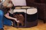 Mini Pet Pens