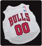 NBA BULLS JERSEY