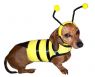 Bumble Bee