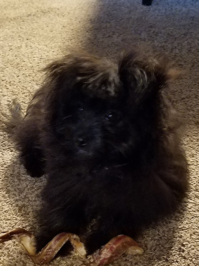 Customer Testimonials